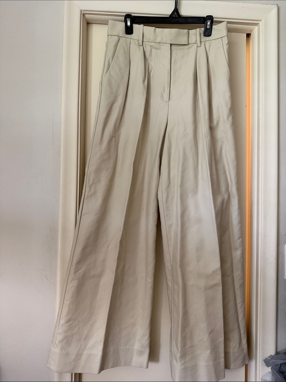 Banana Republic High-Rise Wide Leg Pleated Pants in Cream - Women sz 8